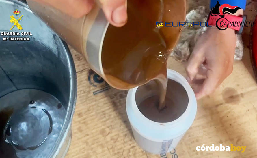 Aceite de oliva adulterado investigado por el Seprona