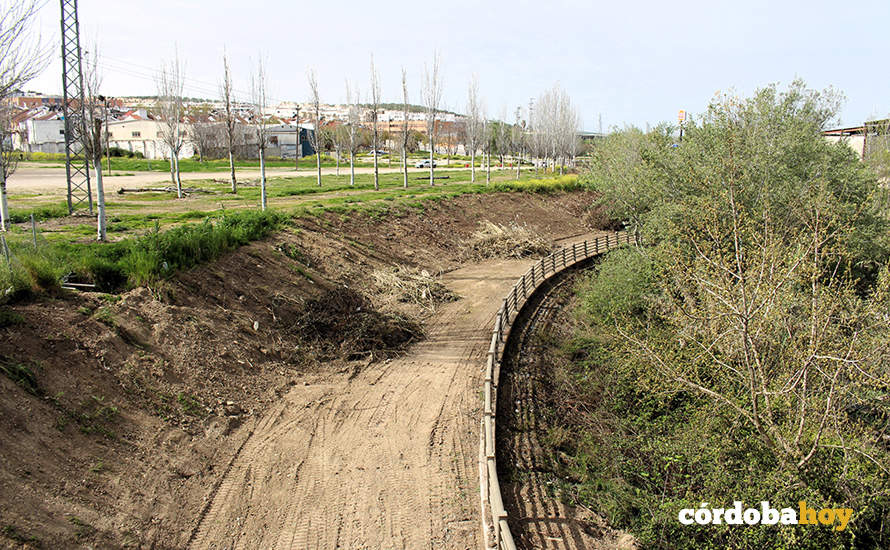 Limpieza de los márgnes del río Lucena