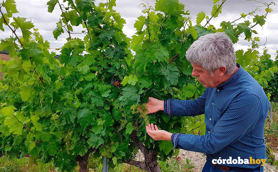 Francisco Robles, defensor a ultranza de la producción ecológica