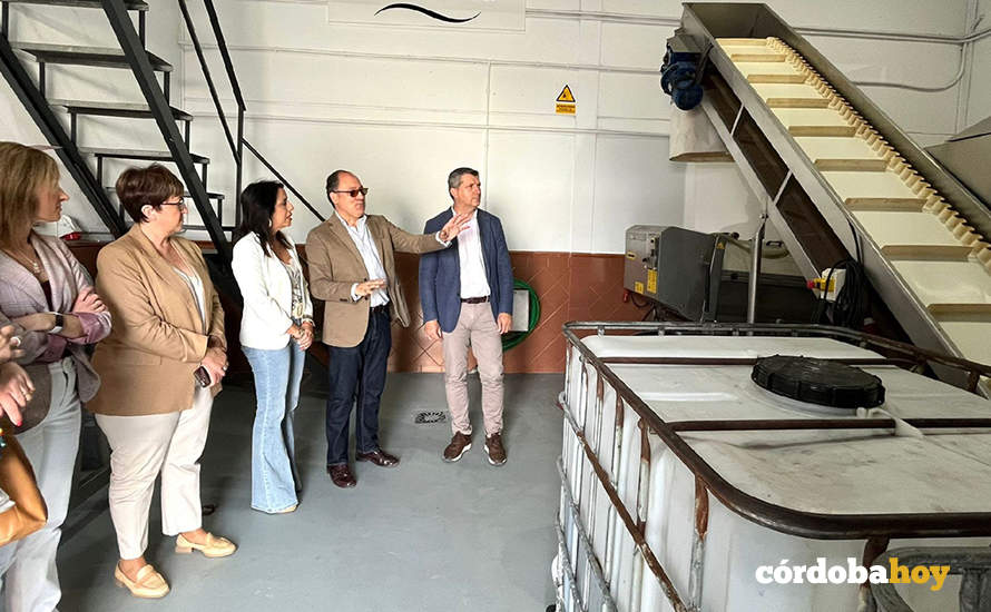 Visita a las Bodegas Doblas, de Moriles