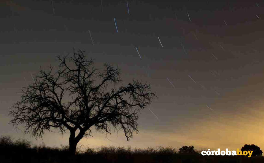 Perseidas en la Sierra cordobesa FOTO JUNTA DE ANDALUCÍA