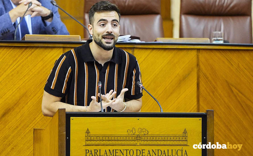 El parlamentario andaluz de Podemos José Manuel Jurado FOTO JOAQUÍN CORCHERO  /PARLAMENTO DE ANDALUCÍA