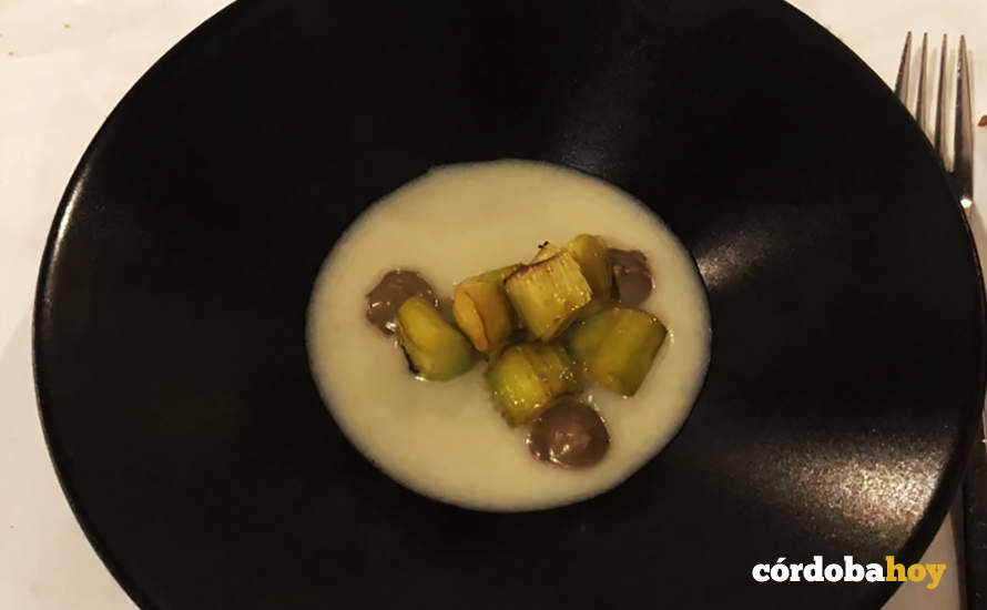 Plato de Terra Olea
