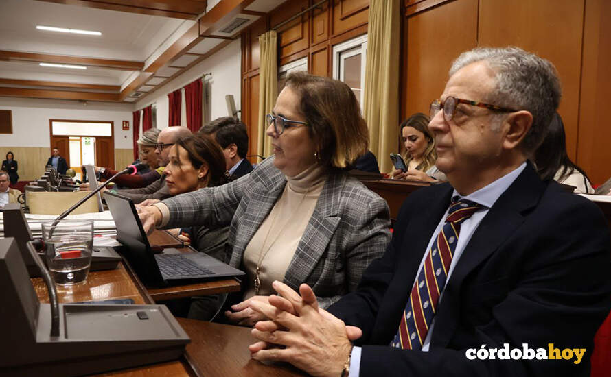 Blanca Torrent, durante su intervención en el Pleno FOTO RAFA MELLADO SENIOR