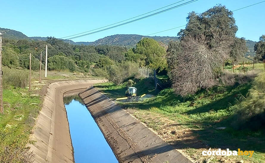 Ecologistas denuncia el uso de herbicida en los márgenes del canal de riego de Hornachuelos