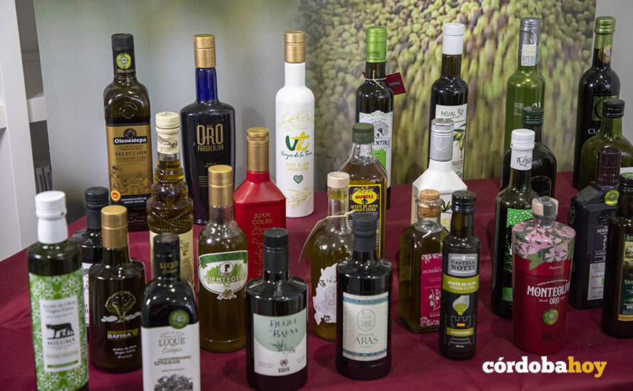 Cata final de la XVIII edición del Concurso Provincial a la Calidad de Aceites de Oliva Virgen Extra Premio Diputación de Córdoba FOTO DIPUTACIÓN