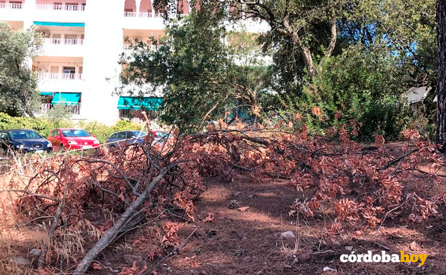 Estado del aparcamiento del Hospital Los Morales FOTO CCOO