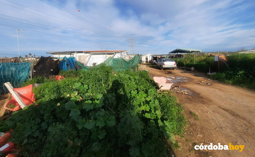 Asentamiento junto al arroyo Pedroche en Córdoba FOTO CÁRITAS DIOCESANA