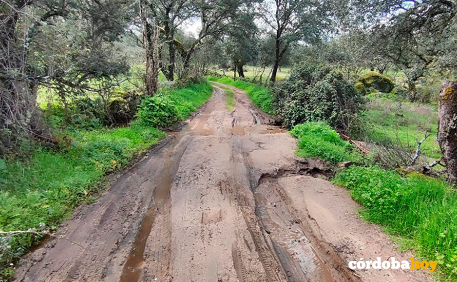 Caminos embarrados tras la lluvia de ayer en la zona Norte de la provincia de Córdoba