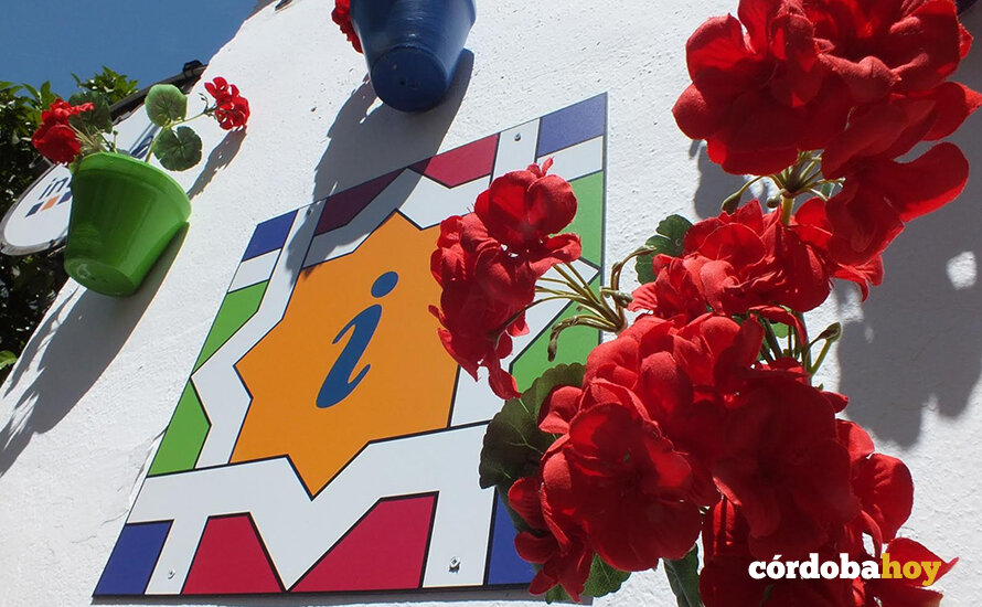 Flores de plástico para confundir al turista en el Casco Histórico FOTO CONSEJO DE DISTRITO CENTRO