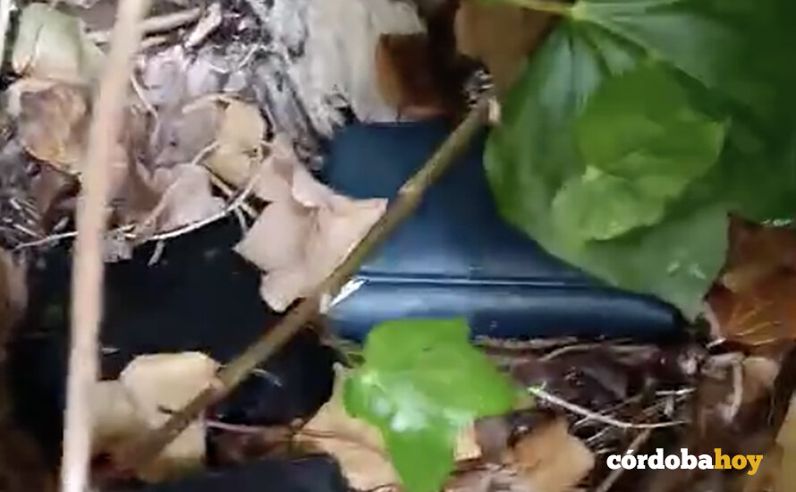 'Depósito' de carteras robadas en un matorral de El Zoco de la Judería FOTO COMERCIANTES DEL CASCO HISTÓRICO DE CÓRDOBA