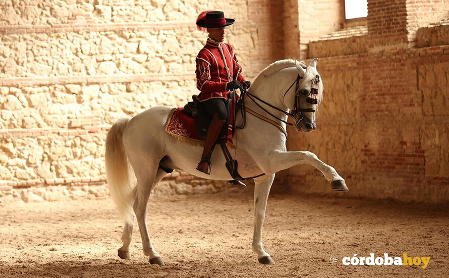 Alta Escuela Española FOTO CÓRDOBA ECUESTRE
