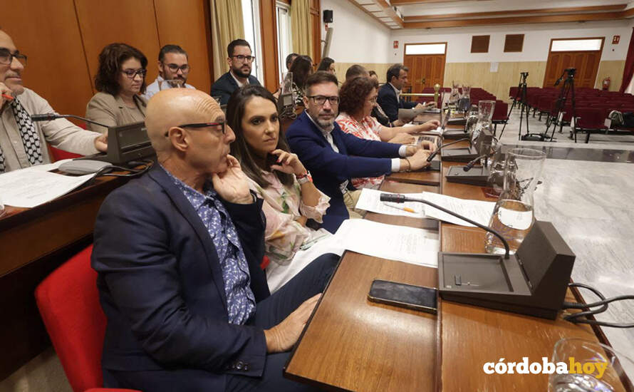 Bancada del PSOE en el Pleno de hoy FOTO AYUNTAMIENTO DE CÓRDOBA