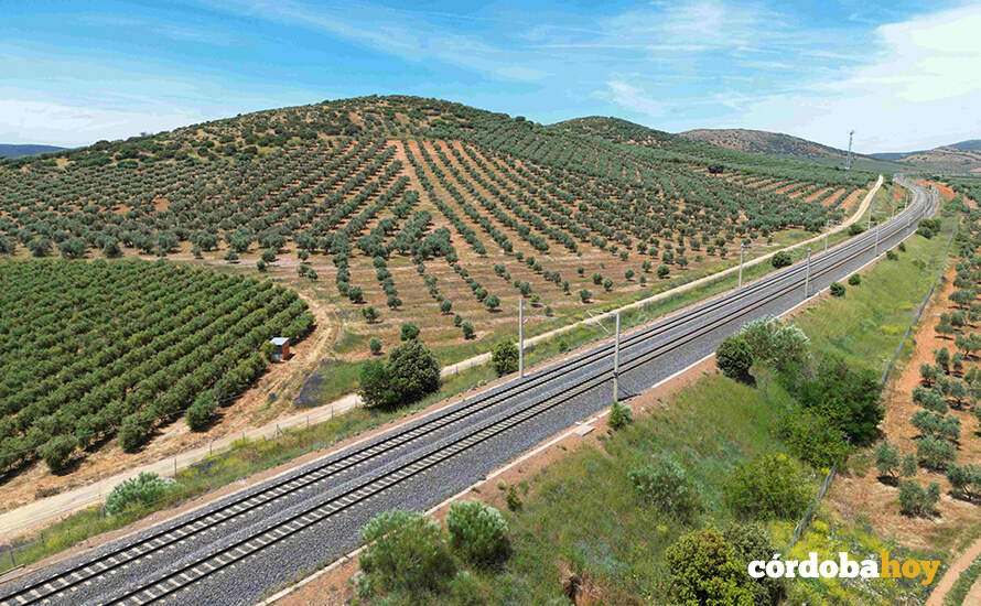 Línea de Alta Velocidad en el Sur FOTO ADIF