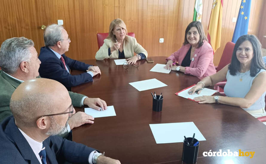 Encuentro de esta mañana en la Subdelegación para hablar de la energía eléctrica den la Zona Norte de la provincia