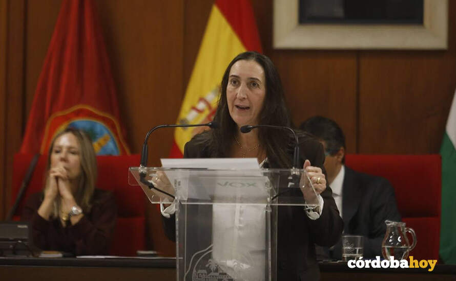 Paula Badanelli, portavoz de Vox, en el debate sobre el estado de la ciudad FOTO AYUNTAMIENTO DE CÓRDOBA