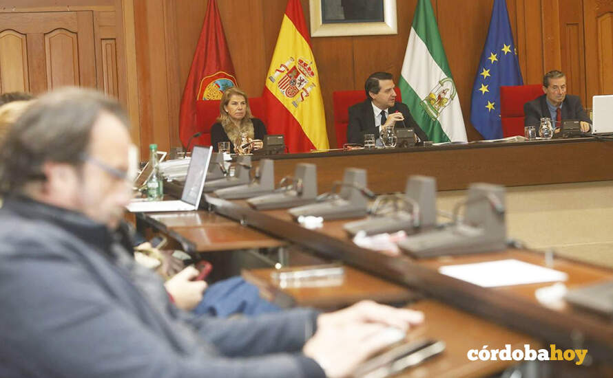 Vista general esta mañana del Pleno FOTO AYUNTAMIENTO DE CÓRDOBA
