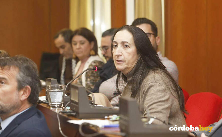 La portavoz de Vox, Paula Badanelli,  esta mañana en el Pleno FOTO AYUNTAMIENTO DE CÓRDOBA