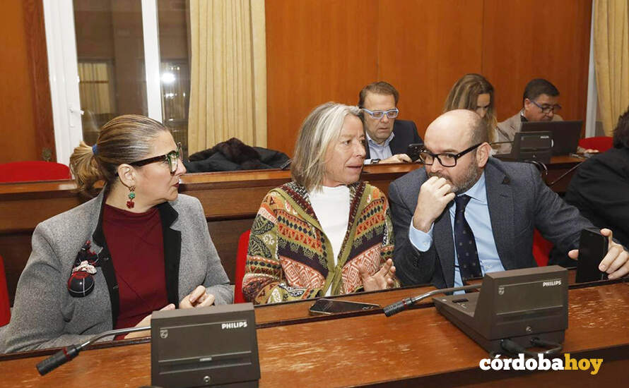 Eva Contador, Isabel Albás y Bernardo Jordano, esta mañana en el Pleno FOTO AYUNTAMIENTO DE CÓRDOBA