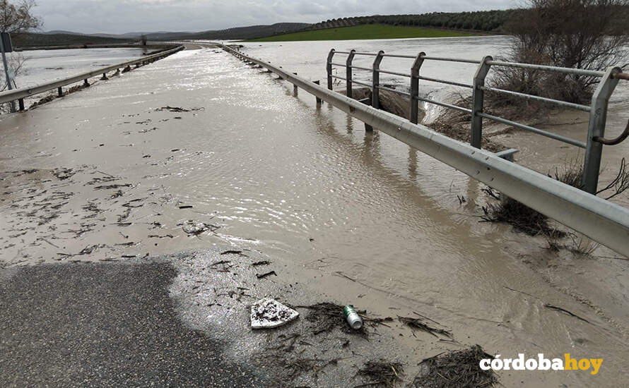 La A-3126, en el término municipal de Baena, cortada por inundación de agua y barro FOTO JUNTA DE ANDALUCÍA