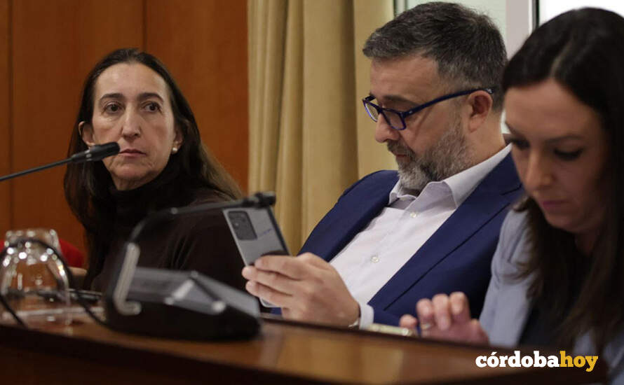 La bancada de Vox en el Pleno de hoy FOTO RAFA MELLADO SENIOR