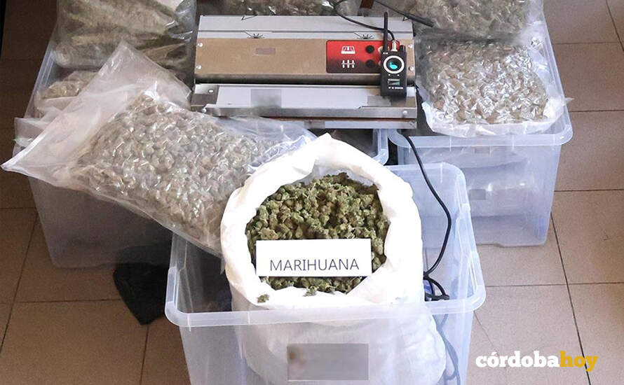 Parte del material incautado por la Policía Nacional durante la operación FOTO CNP