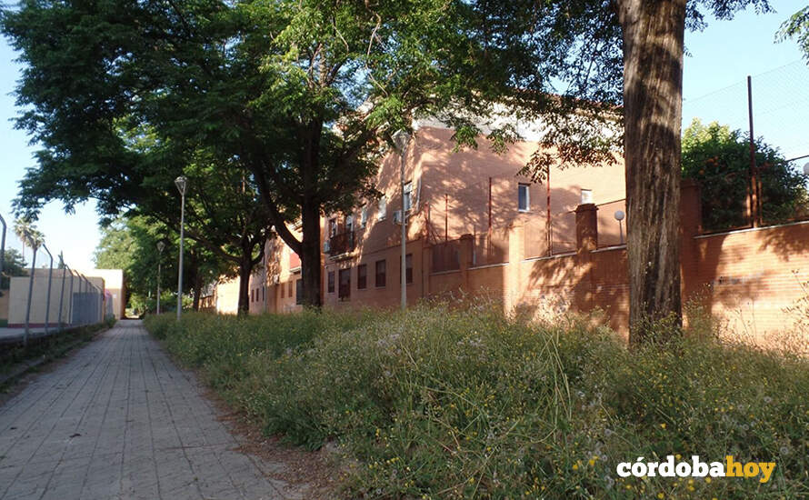 Ejemplo de abandono municipal del barrio del Guadalquivir FOTO ASOCIACIÓN VECINAL AMARGACENA