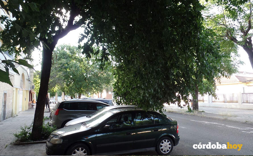 Ejemplo de abandono municipal del barrio del Guadalquivir FOTO ASOCIACIÓN VECINAL AMARGACENA